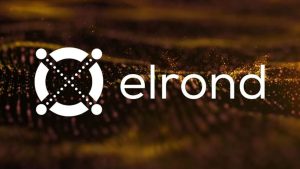 Elrond Egold (EGLD) nedir?