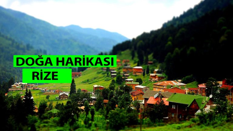 Eşsiz güzelliklerin bir araya toplandığı doğa harikası Rize